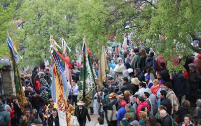 Romería en honor a la Virgen de la Cabeza (2013)